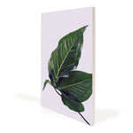 Aspen Slim Wall-Mounted SEG Fabric Frame 3-Pack, photo 1