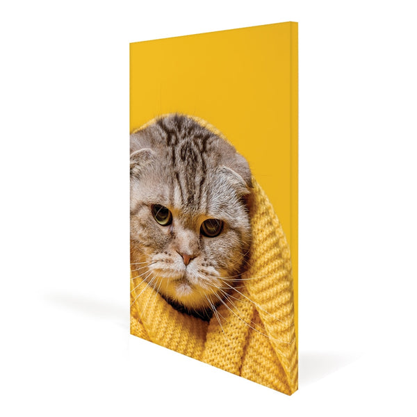 Canvas Print with Frame