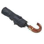 CEO Umbrella, photo 2