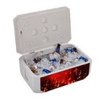Cornhole Cooler, photo 2