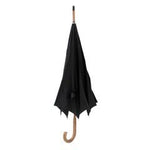 Euro Fashion Umbrella, photo 2