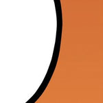 FrameWorx Face Cutout Banner Display, photo 3