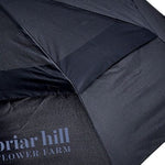 Judge Umbrella, photo 2