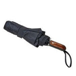 Judge Umbrella, photo 3