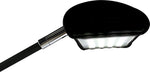Lumina 200 LED Floodlight, photo 1