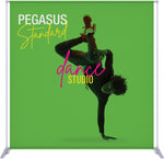Pegasus Standard Telescopic Banner Stand, photo 2