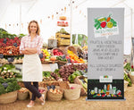 Plaza Outdoor Retractable Banner Stand, photo 5