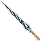 Sport & Street Umbrella, photo 2