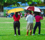 Steal Umbrella, photo 5