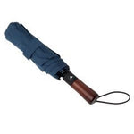 Zion Umbrella, photo 2
